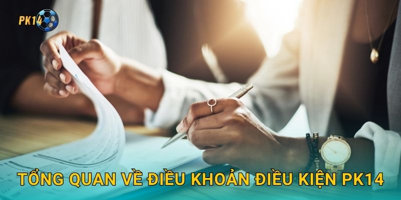 Tổng quan về điều khoản điều kiện Pk14