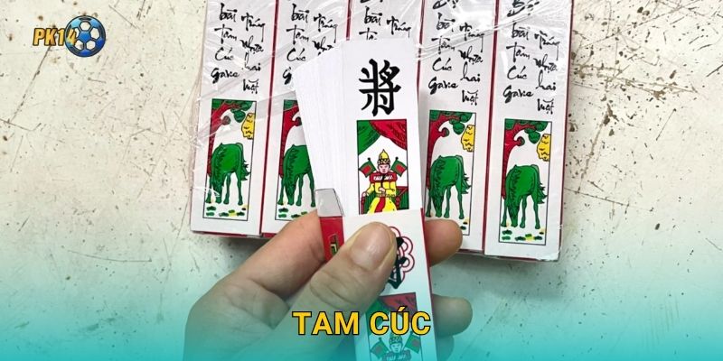 Tam Cúc – Vẻ đẹp cổ điển trong mỗi ván bài tại Pk14 1 Tam Cúc – Vẻ đẹp cổ điển trong mỗi ván bài tại Pk14